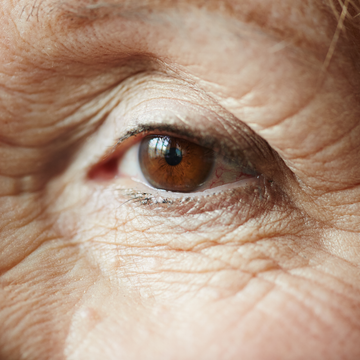 Top Tips to Keep Your Skin Youthful and Radiant: Prevent Premature Aging